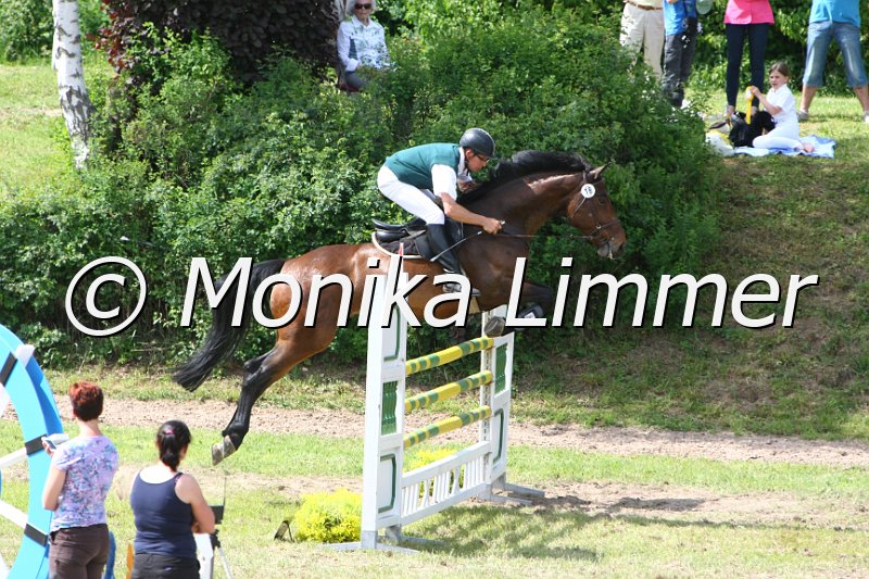 204M6422_Araquita_Spring Mx.JPG